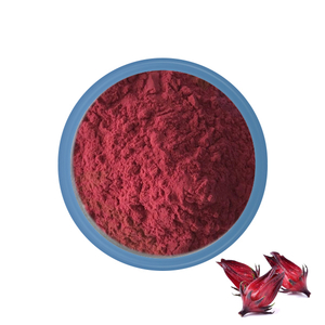 Roselle Hibiscus Powder (Yanggebiotech Food Colors)